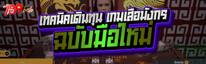 เทคนิคเดินทุน เกมเสือมังกร ฉบั