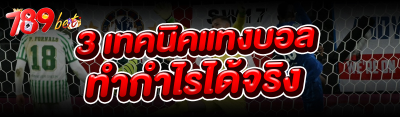 3 เทคนิคแทงบอล ทำกำไรได้จริง